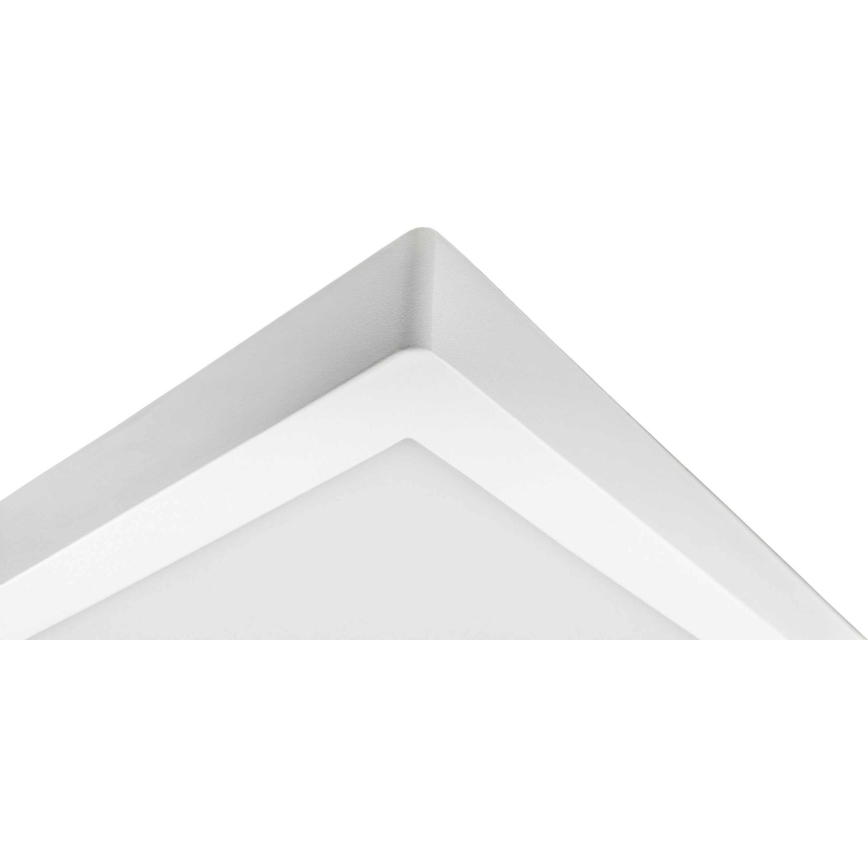 LED Ceiling light FENIX LED/32W/230V 3800K 40 cm snow white