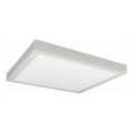 LED Ceiling light FENIX LED/32W/230V 3800K 40 cm white