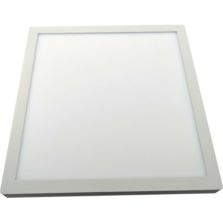 LED Ceiling light FENIX LED/32W/230V 3800K 40 cm white