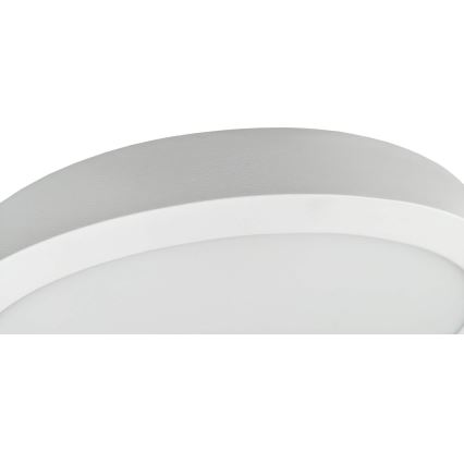 LED Ceiling light FENIX LED/32W/230V 3800K d. 40 cm snow white