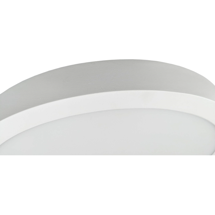 LED Ceiling light FENIX LED/32W/230V 3800K d. 40 cm snow white