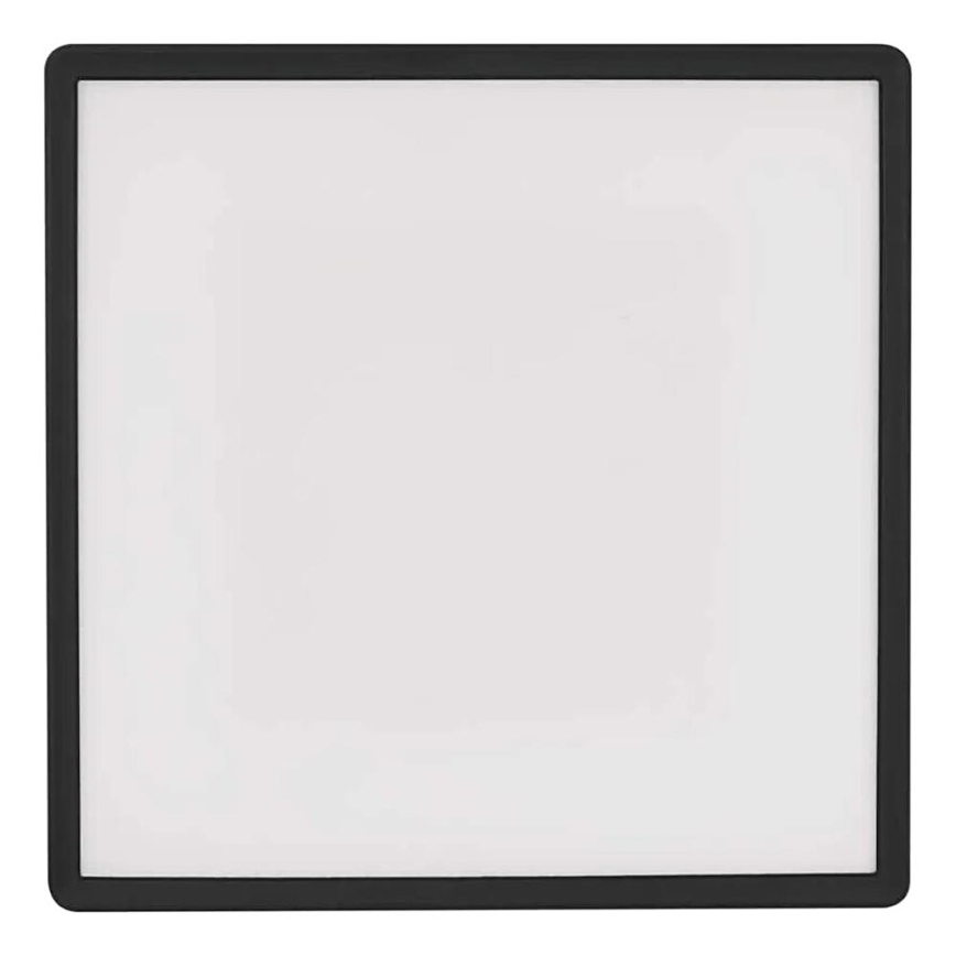 LED Ceiling light FLORI LED/22W/230V 4000K black 42x42 cm