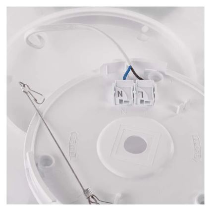 LED Ceiling light FLORI LED/22W/230V 4000K black 42x42 cm
