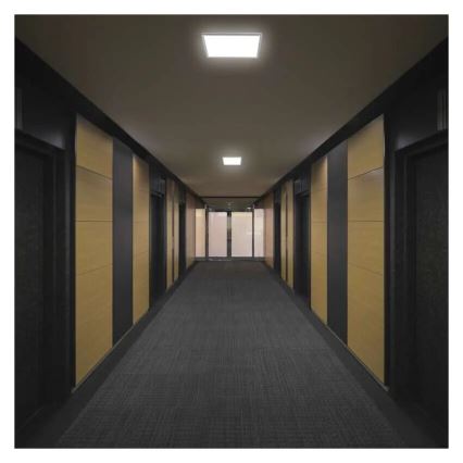 LED Ceiling light FLORI LED/22W/230V 4000K white 42x42 cm