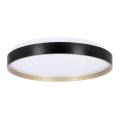 LED Ceiling light FLORIDA LED/18W/230V black