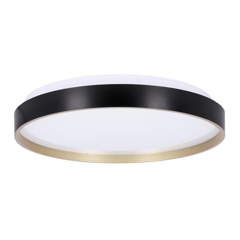 LED Ceiling light FLORIDA LED/18W/230V black