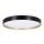 LED Ceiling light FLORIDA LED/18W/230V black