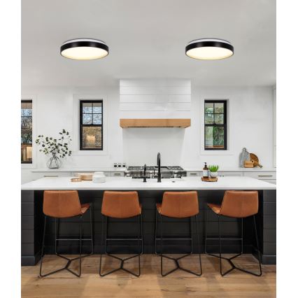 LED Ceiling light FLORIDA LED/18W/230V black