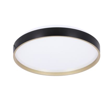 LED Ceiling light FLORIDA LED/18W/230V black