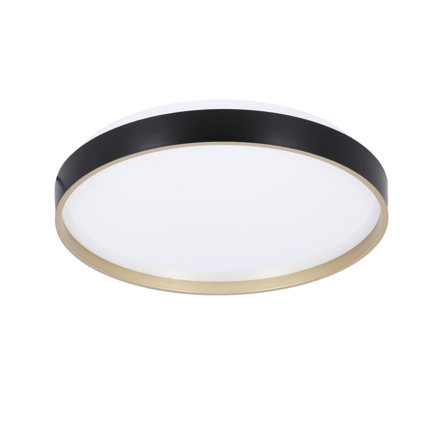 LED Ceiling light FLORIDA LED/18W/230V black