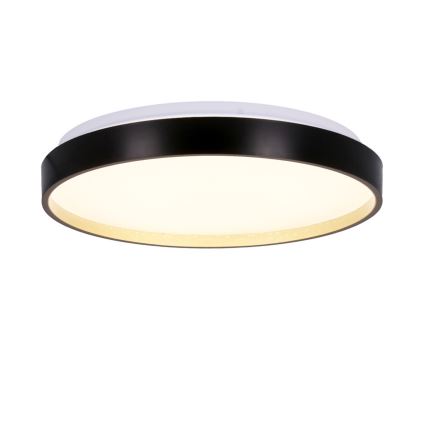 LED Ceiling light FLORIDA LED/18W/230V black