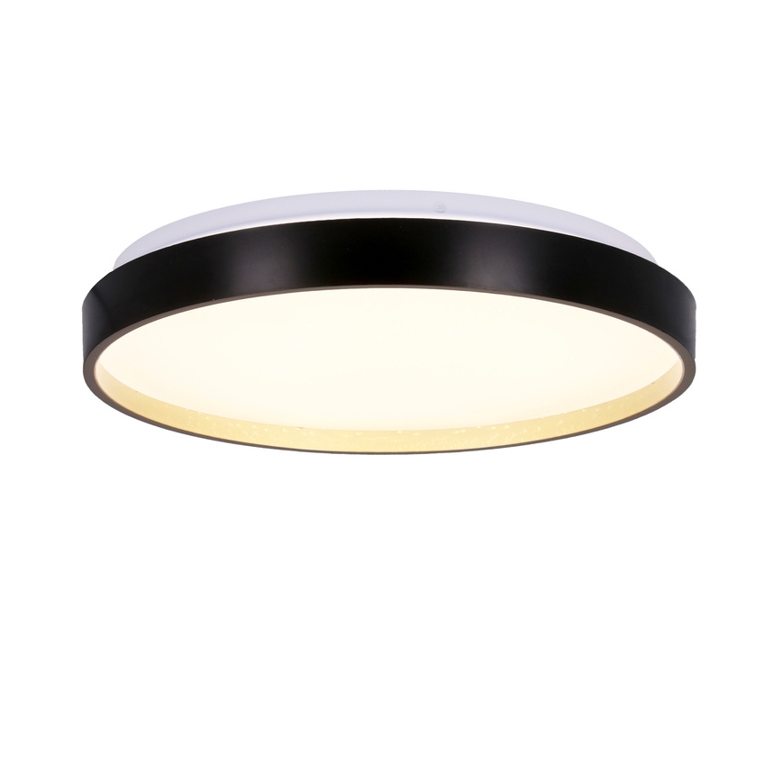 LED Ceiling light FLORIDA LED/18W/230V black
