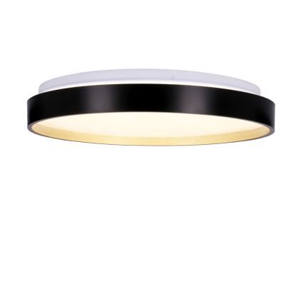 LED Ceiling light FLORIDA LED/18W/230V black