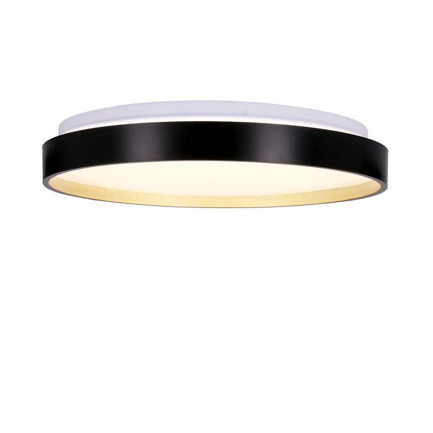 LED Ceiling light FLORIDA LED/18W/230V black