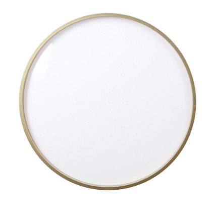 LED Ceiling light FLORIDA LED/18W/230V black