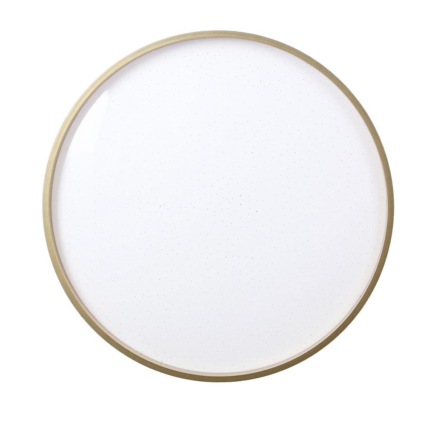 LED Ceiling light FLORIDA LED/18W/230V black