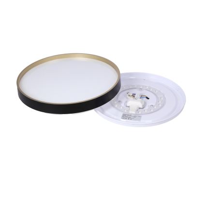 LED Ceiling light FLORIDA LED/18W/230V black