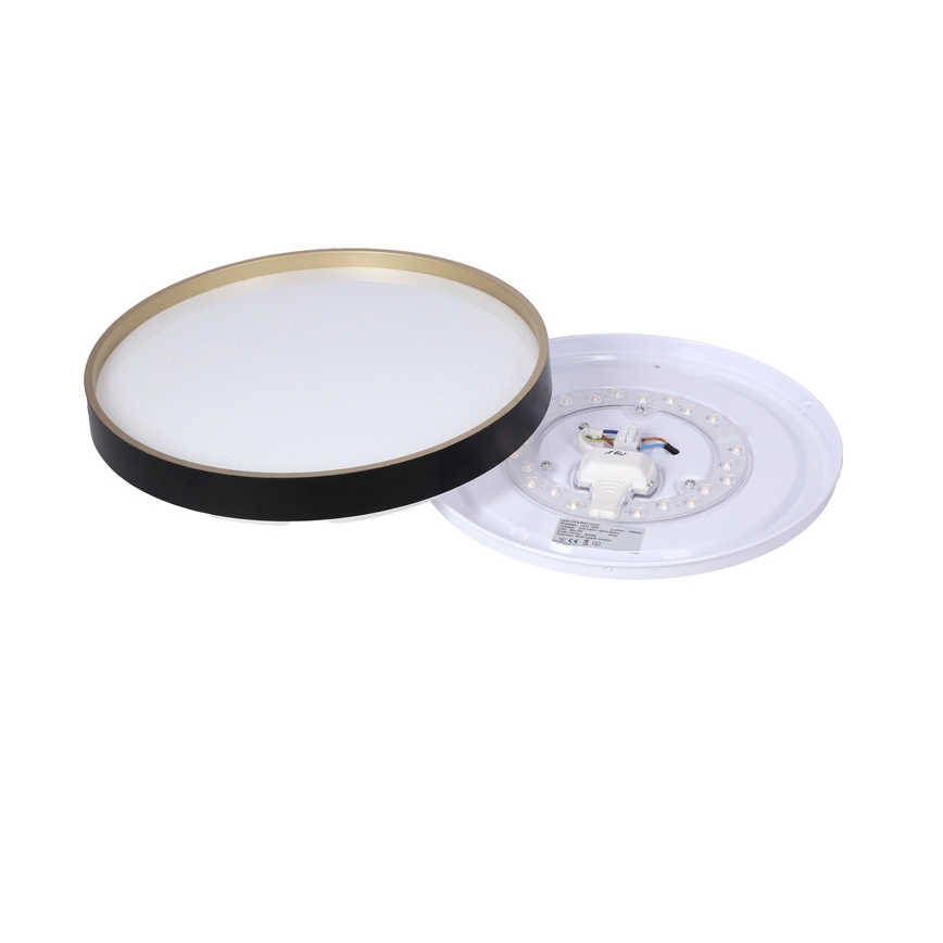 LED Ceiling light FLORIDA LED/18W/230V black