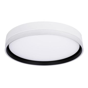 LED Ceiling light FLORIDA LED/24W/230V white