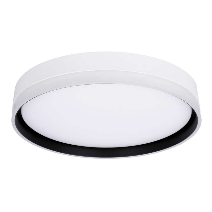 LED Ceiling light FLORIDA LED/24W/230V white