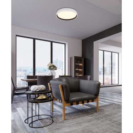 LED Ceiling light FLORIDA LED/24W/230V white