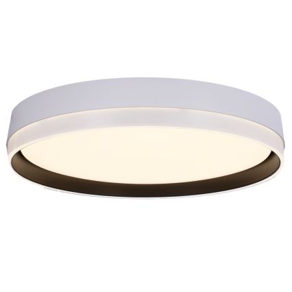 LED Ceiling light FLORIDA LED/24W/230V white