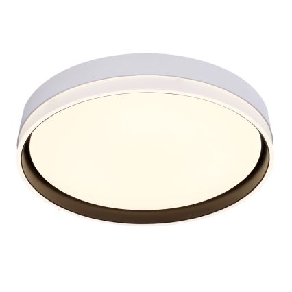 LED Ceiling light FLORIDA LED/24W/230V white