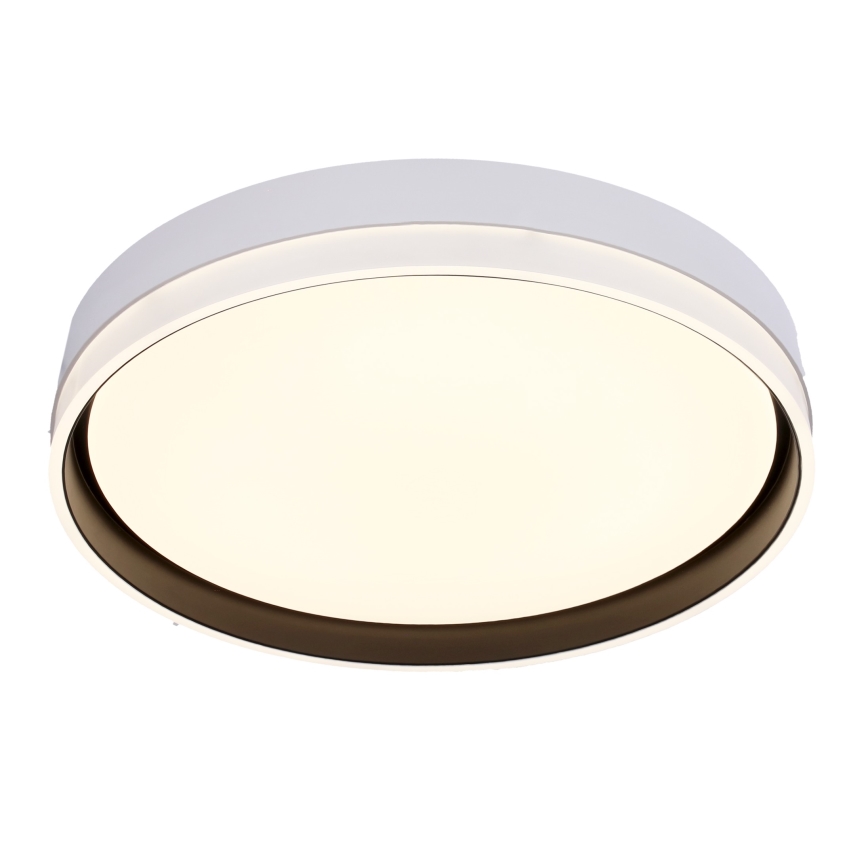 LED Ceiling light FLORIDA LED/24W/230V white
