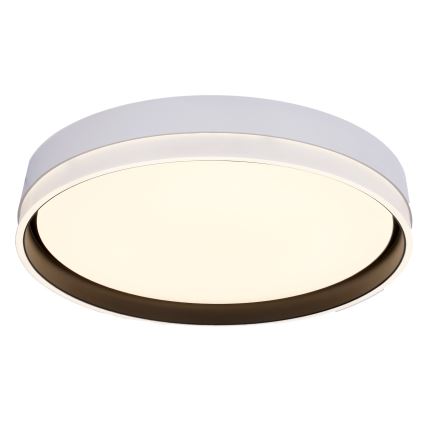 LED Ceiling light FLORIDA LED/24W/230V white