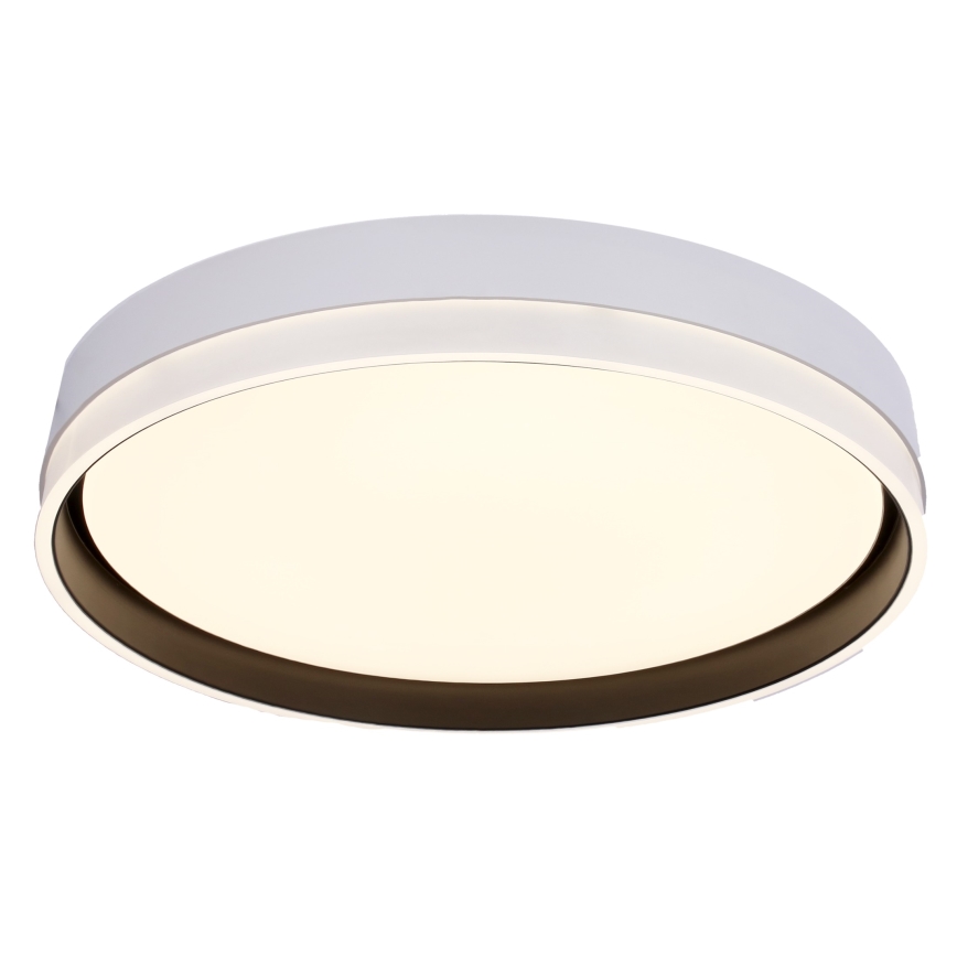 LED Ceiling light FLORIDA LED/24W/230V white