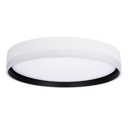 LED Ceiling light FLORIDA LED/24W/230V white
