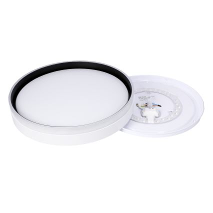 LED Ceiling light FLORIDA LED/24W/230V white