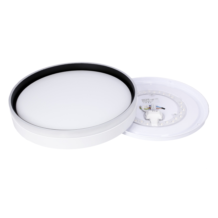 LED Ceiling light FLORIDA LED/24W/230V white