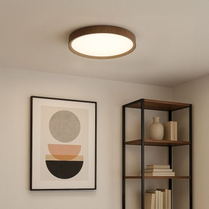 LED Ceiling Light FOREST LED/24W/230V Ø 39 cm Brown