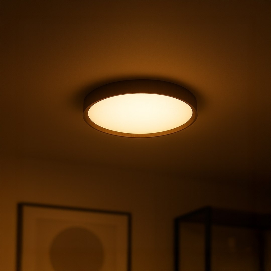 LED Ceiling Light FOREST LED/24W/230V Ø 39 cm Brown