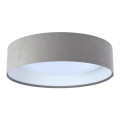 LED Ceiling light GALAXY 1xLED/24W/230V d. 44 cm grey/white