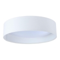 LED Ceiling light GALAXY LED/24W/230V d. 44 cm white
