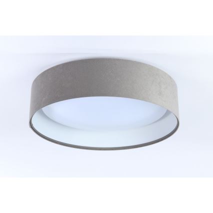 LED Ceiling Light GALAXY LED/24W/230V Ø 44 cm grey/white