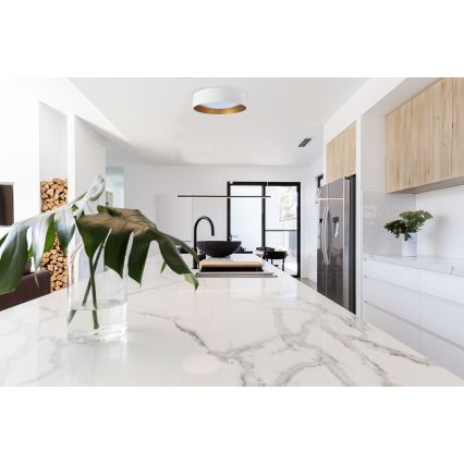 GALAXY LED Ceiling Light LED/24W/230V Ø 44 cm White/Gold