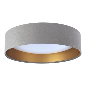 LED Ceiling Light GALAXY LED/24W/230V Ø 44 cm Gray/Gold