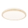 LED Ceiling light GANDAVA LED/18W/230V