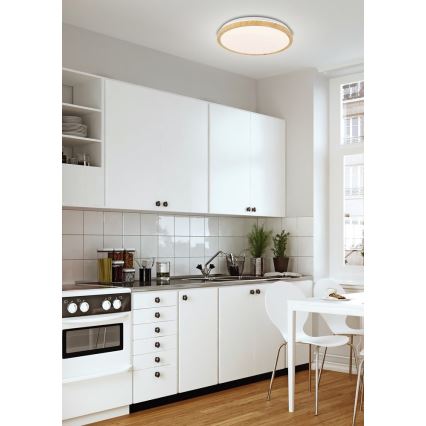 LED Ceiling light GANDAVA LED/18W/230V