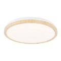 LED Ceiling light GANDAVA LED/24W/230V
