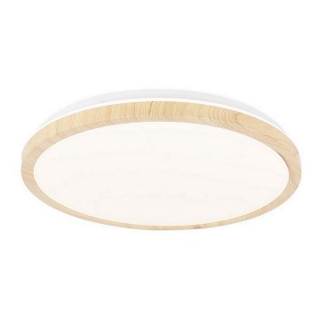 LED Ceiling light GANDAVA LED/24W/230V