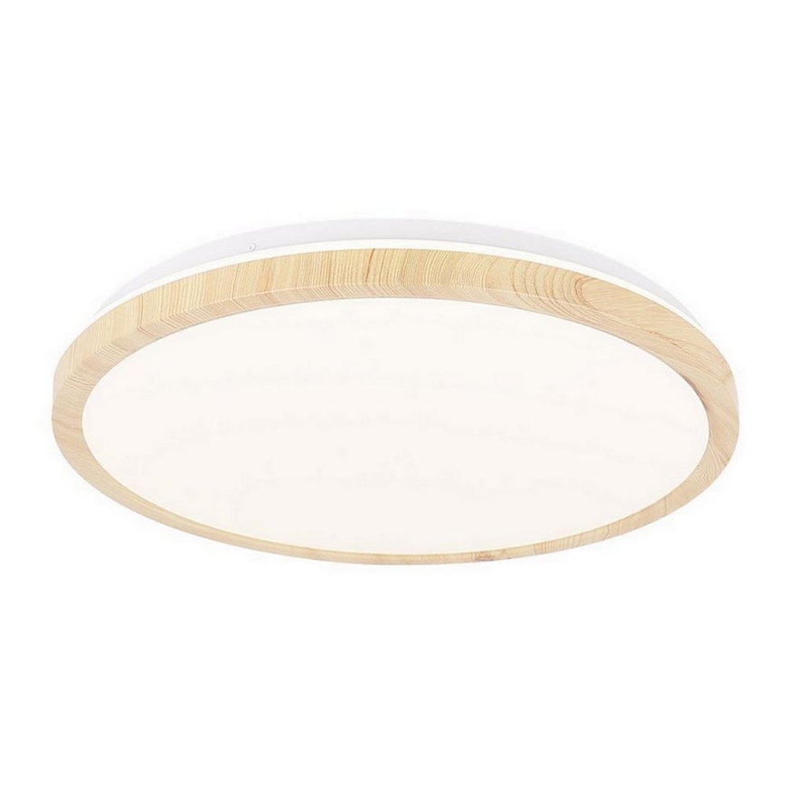 LED Ceiling light GANDAVA LED/24W/230V