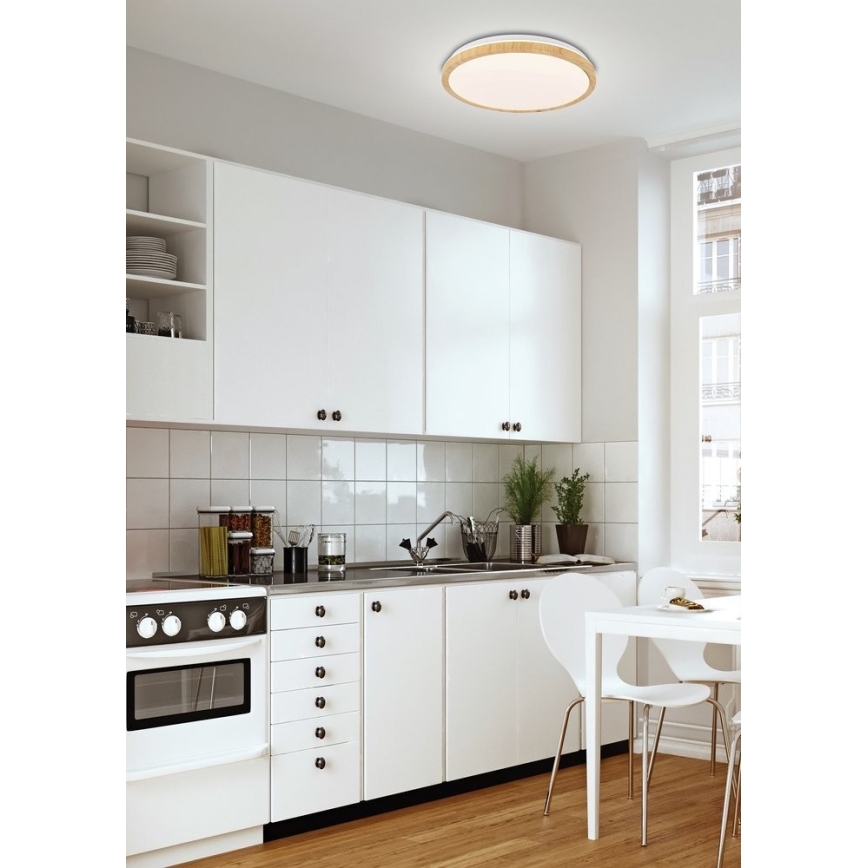 LED Ceiling light GANDAVA LED/24W/230V