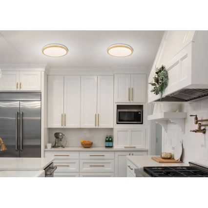LED Ceiling light GANDAVA LED/24W/230V