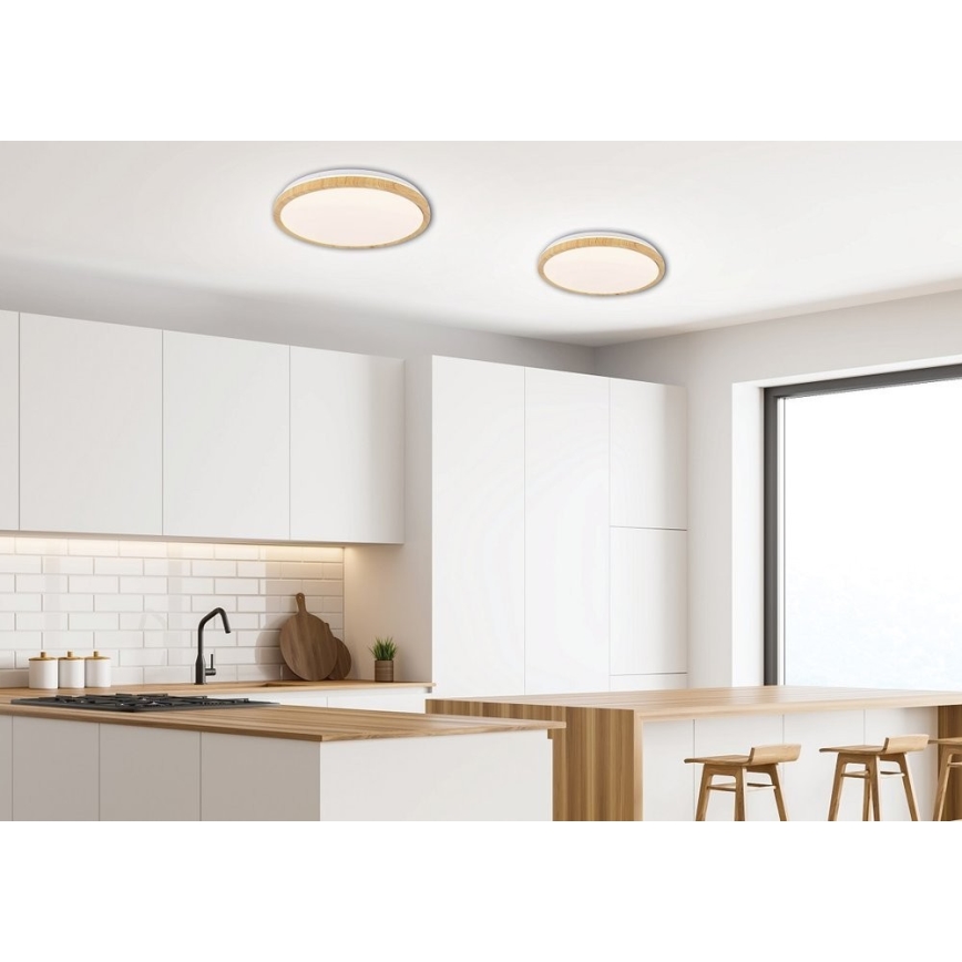 LED Ceiling light GANDAVA LED/24W/230V