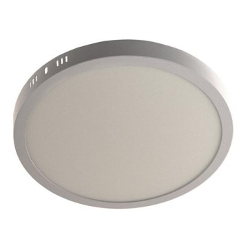 LED Ceiling light GERRIT LED/24W/230V 4000K white