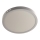 LED Ceiling light GERRIT LED/24W/230V 4000K white